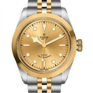 Replica Tudor Heritage Black Bay 41 S&G Mens Watch M79543-0002