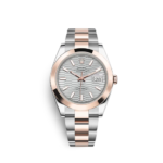 Rolex Datejust 126301 41mm Silver