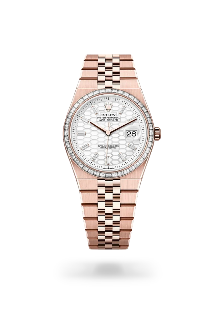 Rolex Land-Dweller 36 Intense White